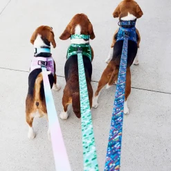 Terrazzo Green Dog Leash