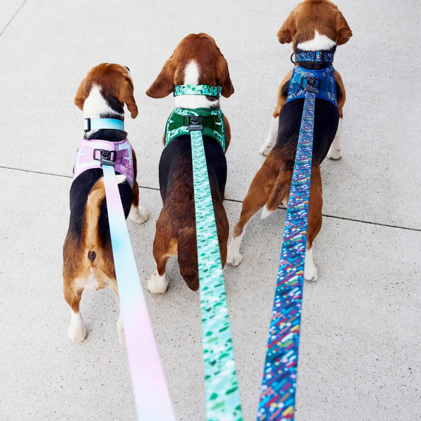 Terrazzo Green Dog Leash