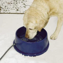 Thermal Bowl Blue