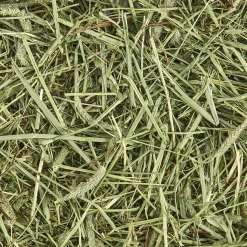 Timothy Hay for Small Animals