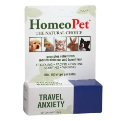 Travel Anxiety