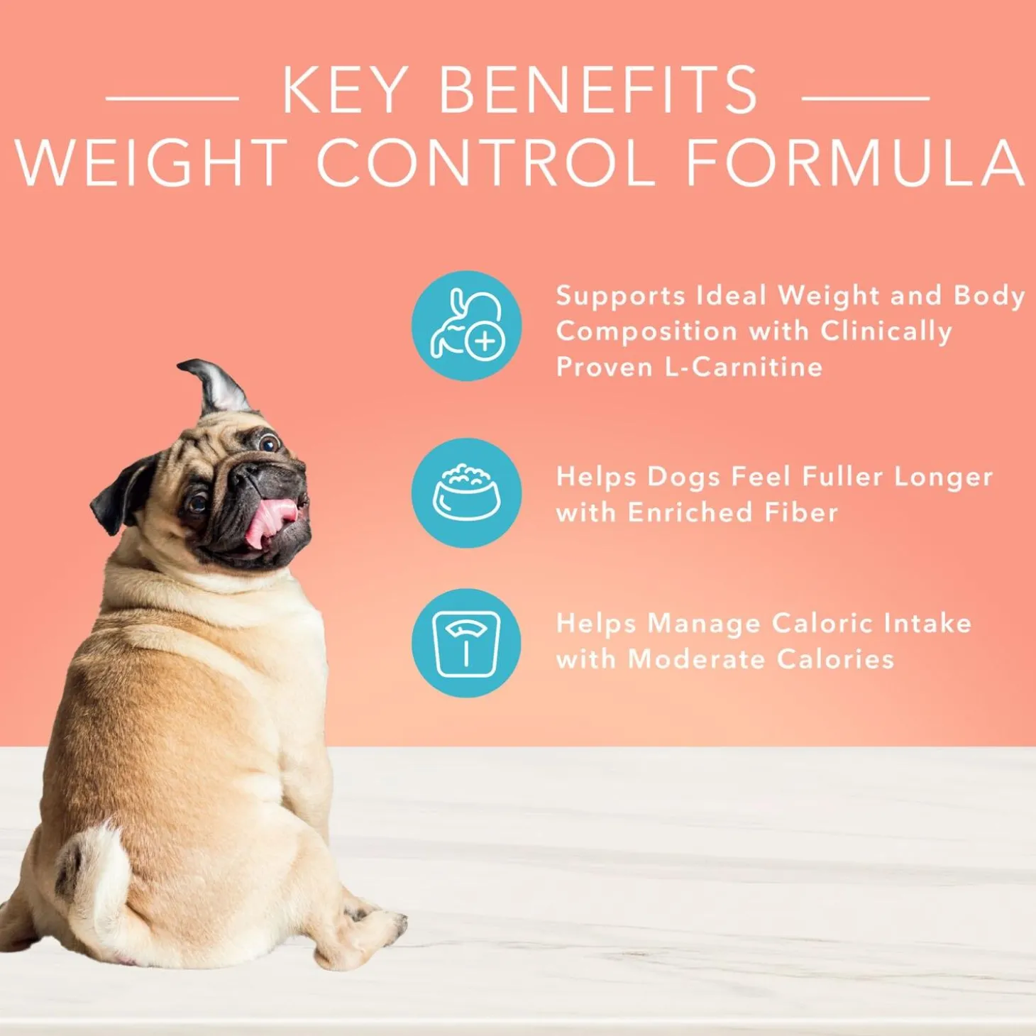 True Solutions Weight Care Chicken Formula Adult Dog Food