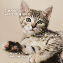 Tuna & Salmon Pate Grain-Free Senior Cat Food