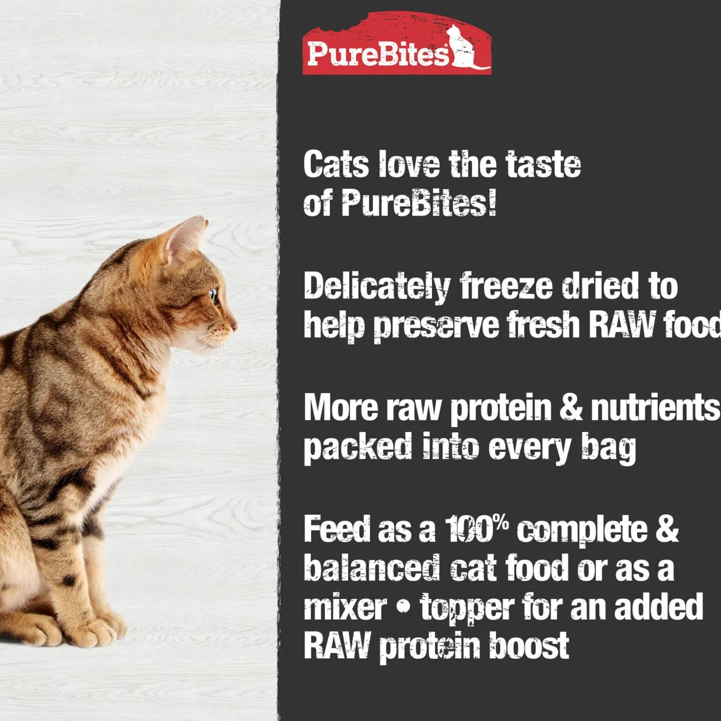 Turkey Recipe Cat Food Topper