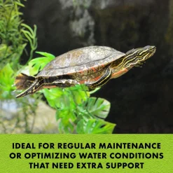 Turtle Miracle Ball