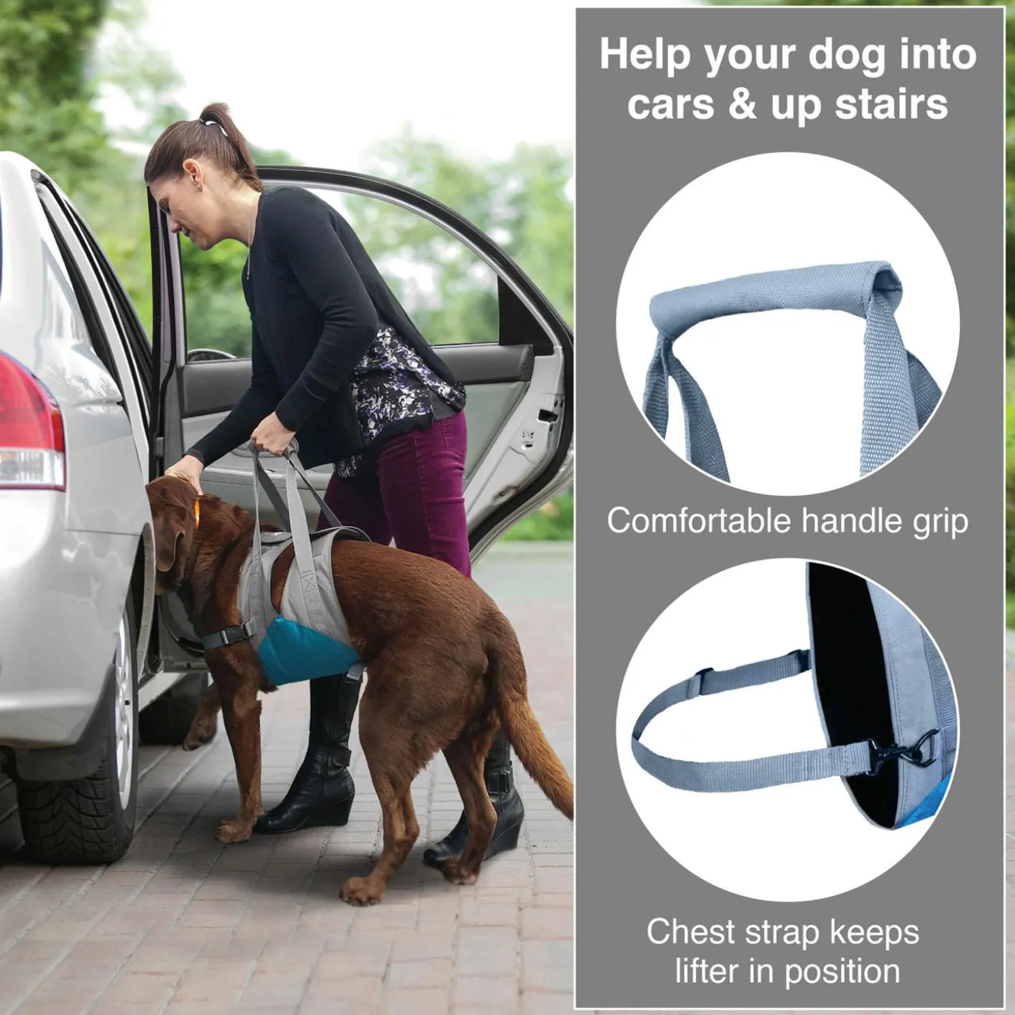 Up & About Dog Lifter