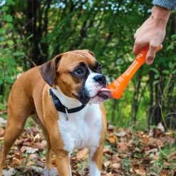 Urban Stick Dog Toy