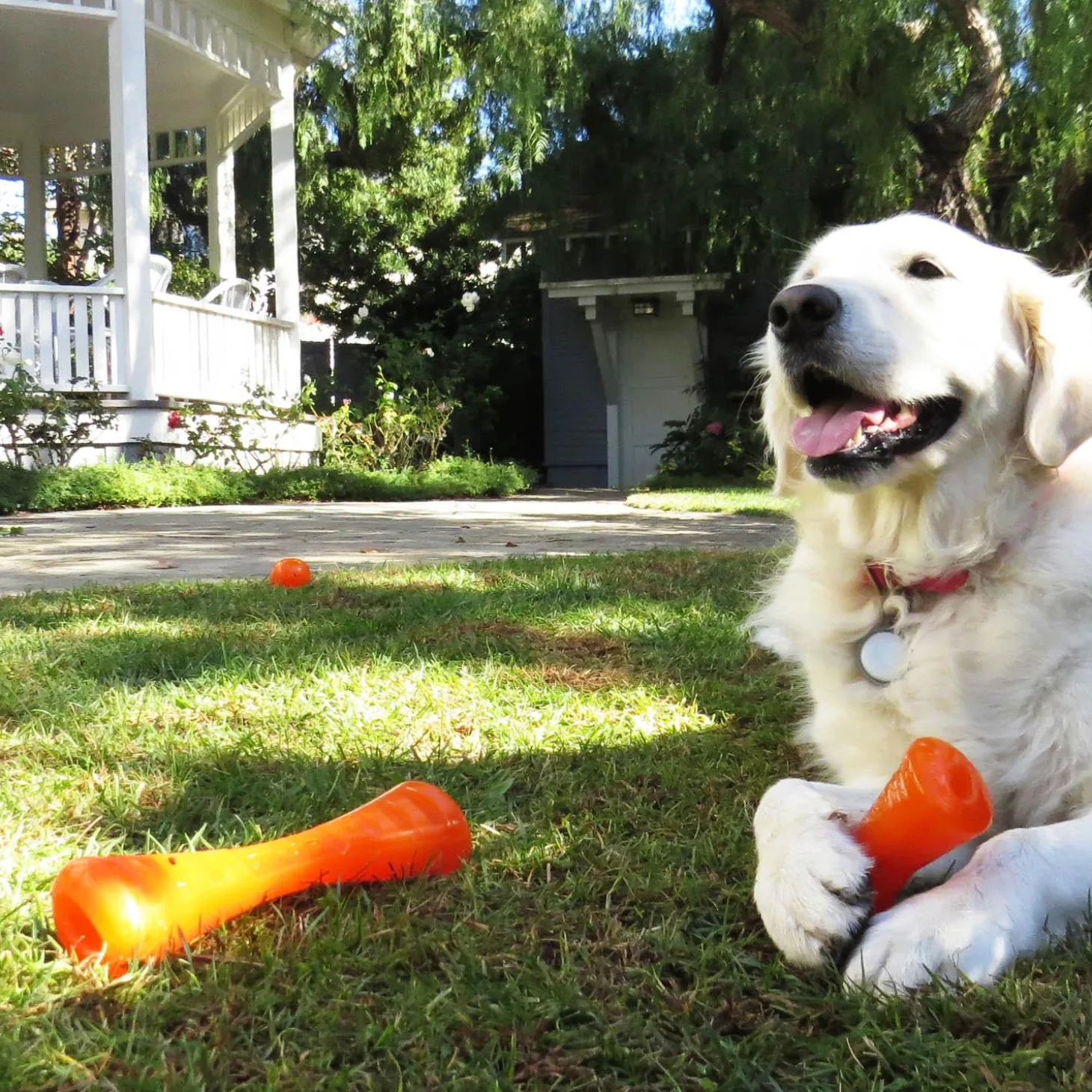 Urban Stick Dog Toy