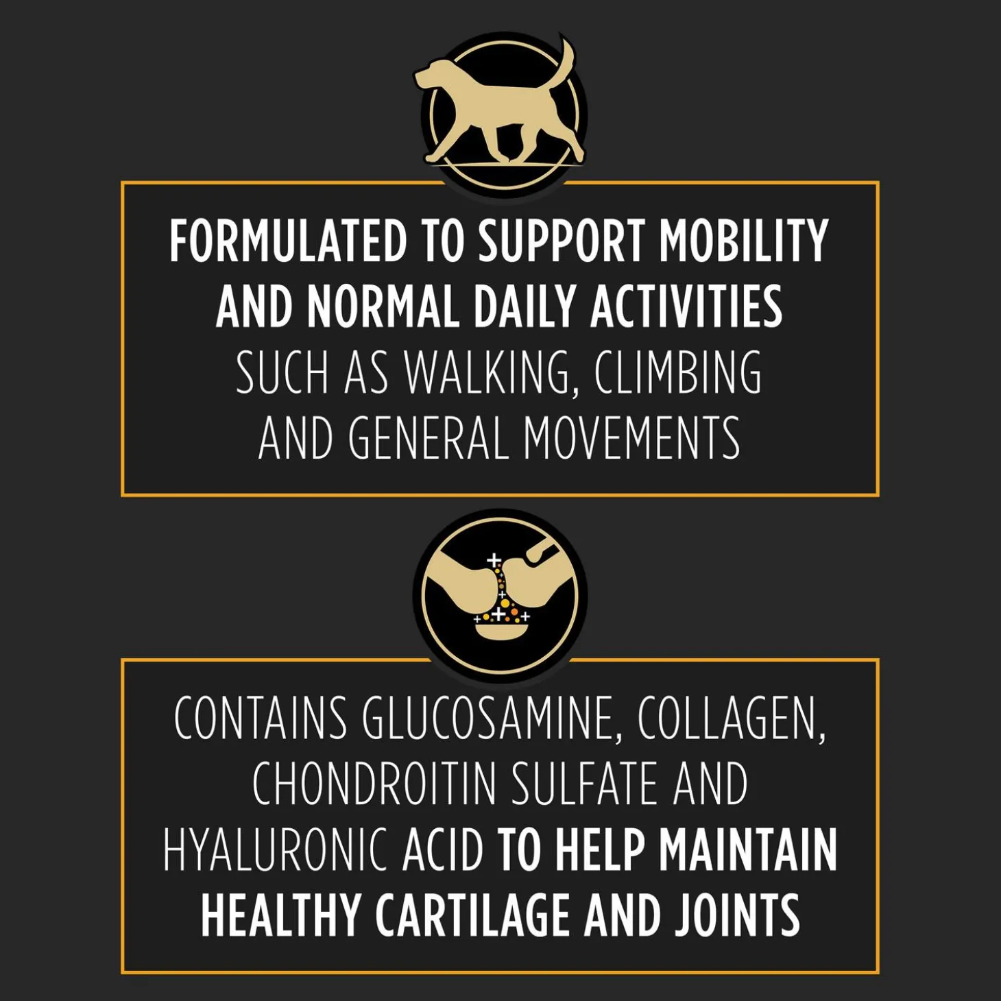 Veterinary Joint Care for Small-Medium Dog Supplements