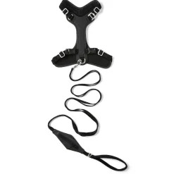 Visibility Black Dog Harness