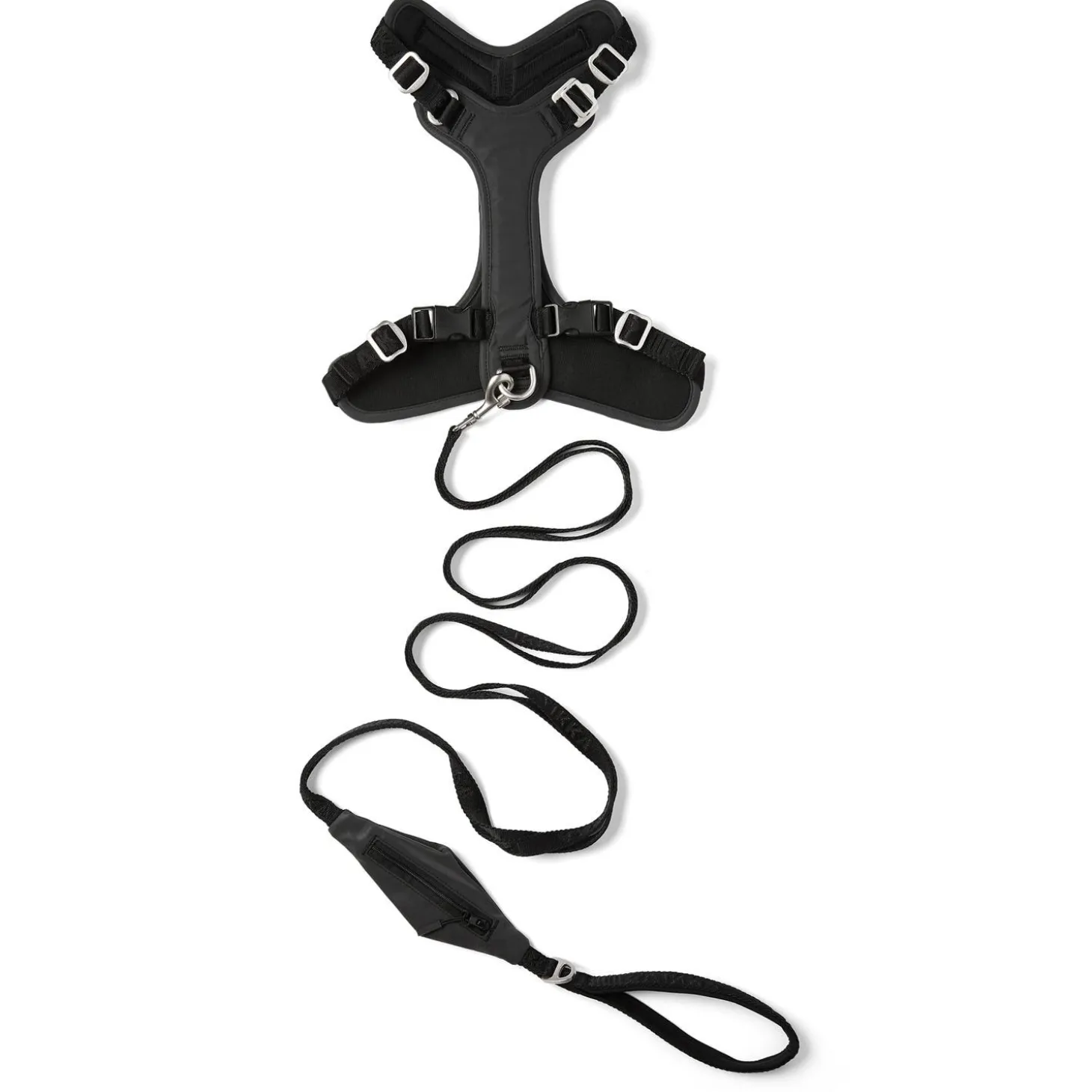 Visibility Black Dog Harness