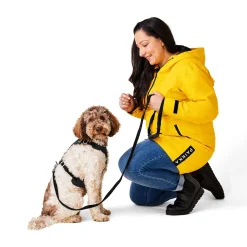 Visibility Black Dog Harness