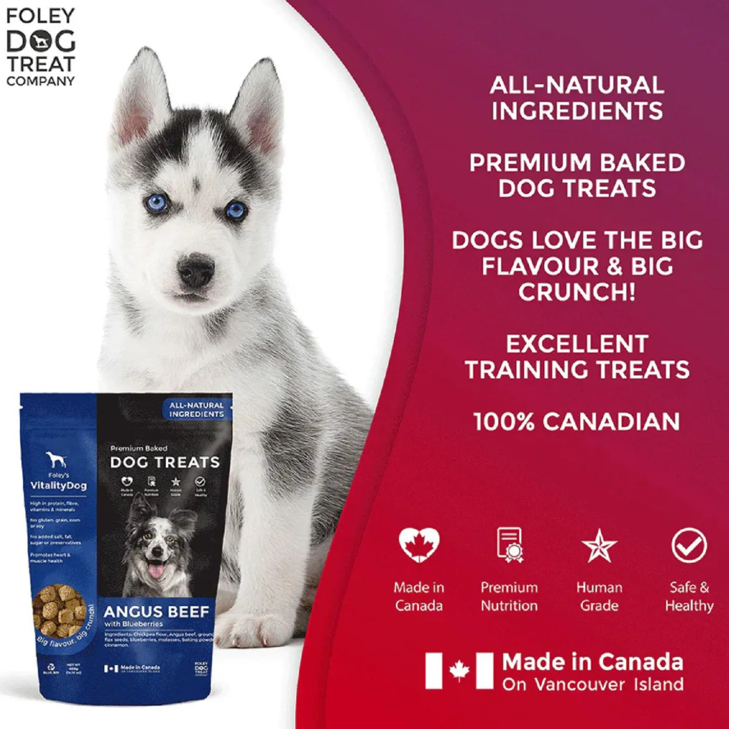 VitalityDog Angus Beef with Blueberries Dog Treats