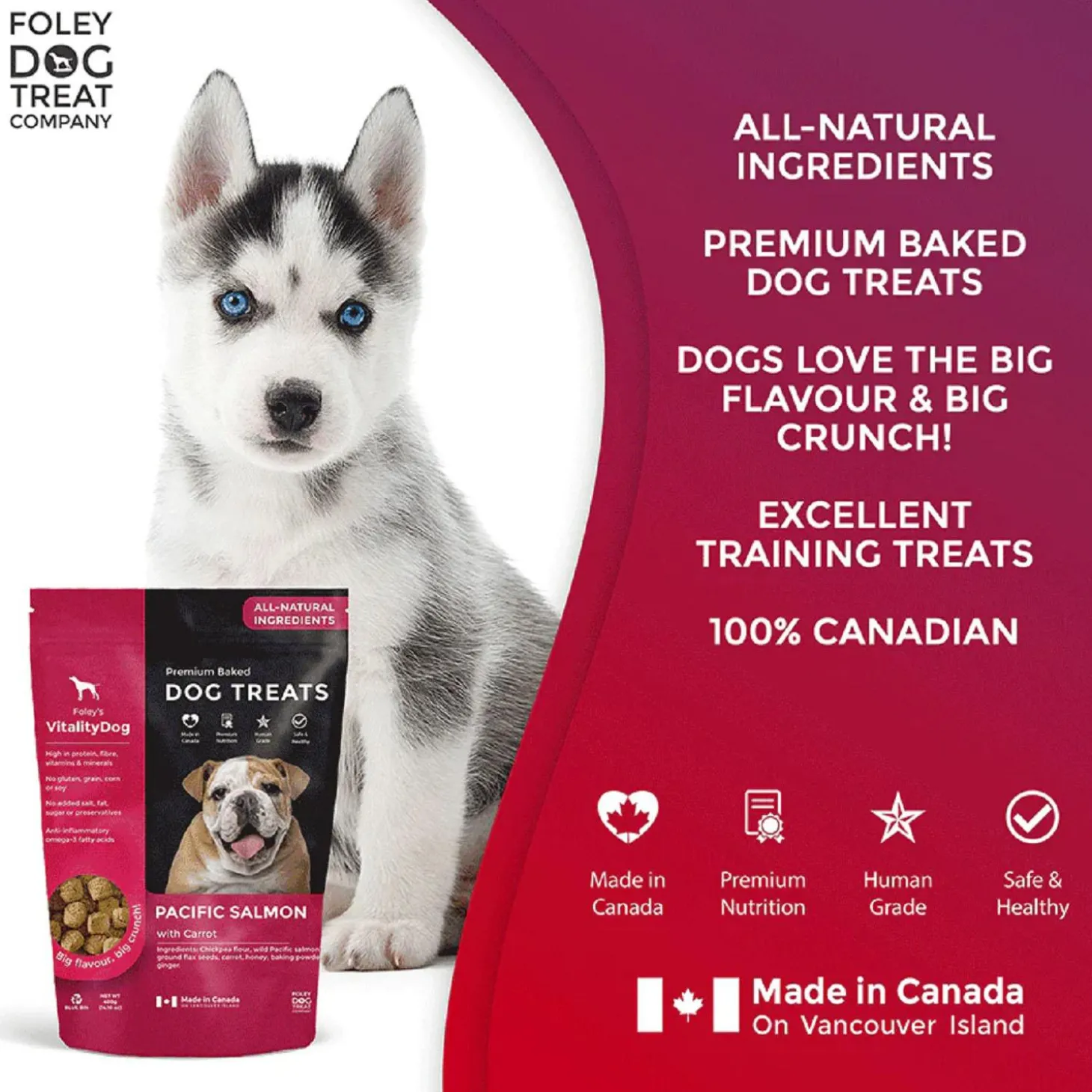 VitalityDog Pacific Salmon with Carrot Dog Treats