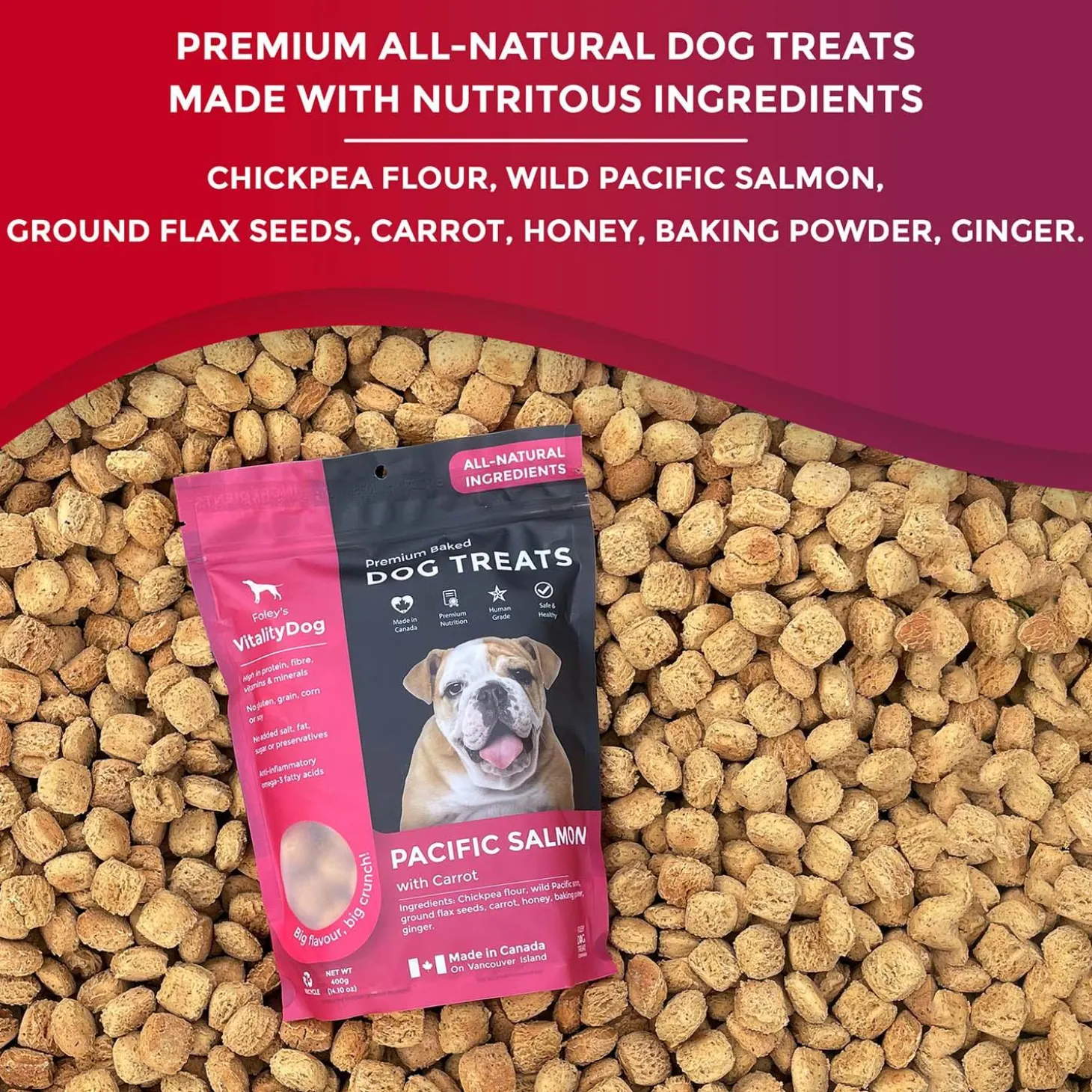VitalityDog Pacific Salmon with Carrot Dog Treats