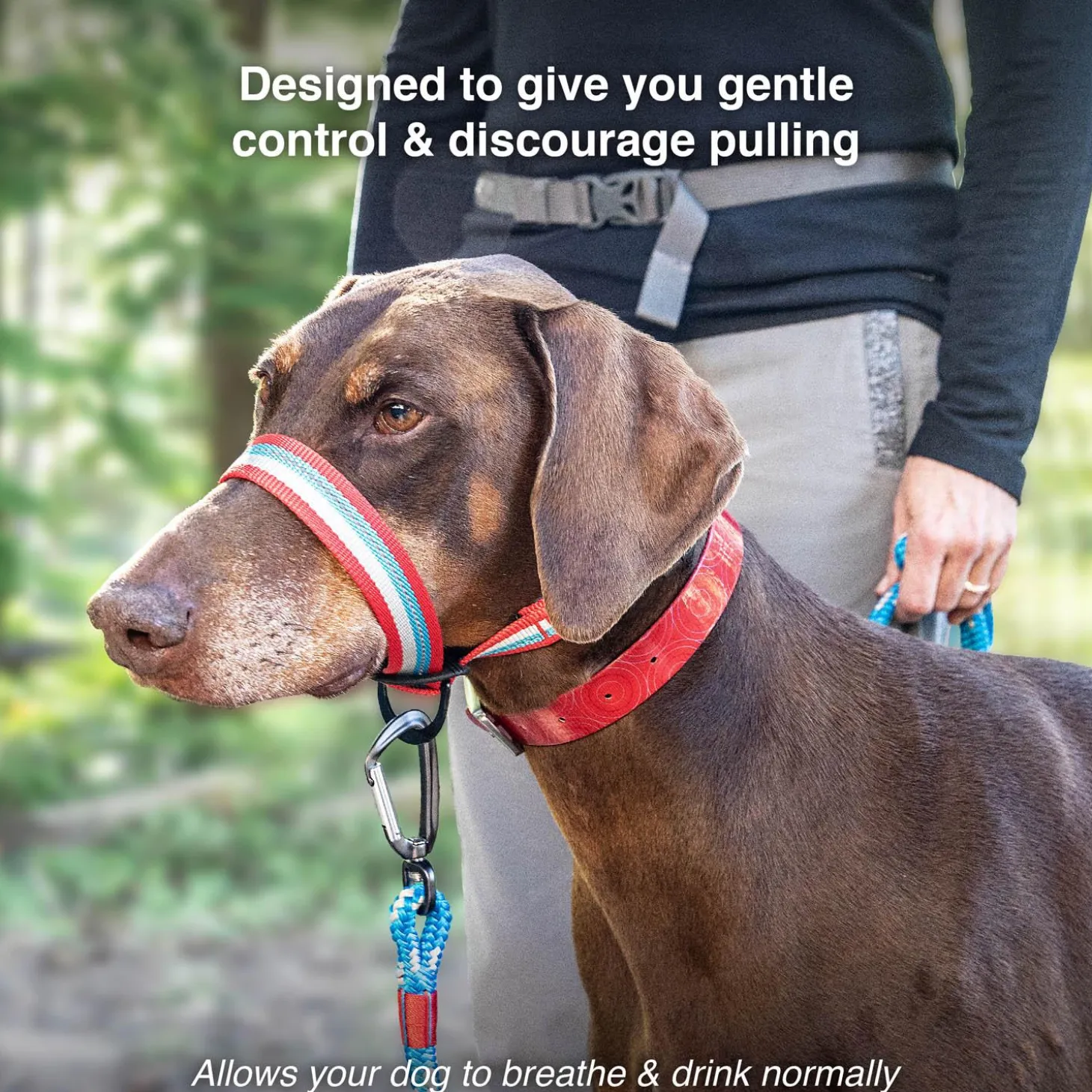 Walk About Halter