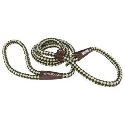 Water and Woods Braided Rope Slip Dog Leash 1in Green and White