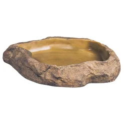 Water Dish