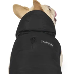 Waterproof Black Puffer Jacket