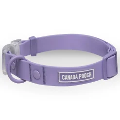 Waterproof Lavender Dog Collar