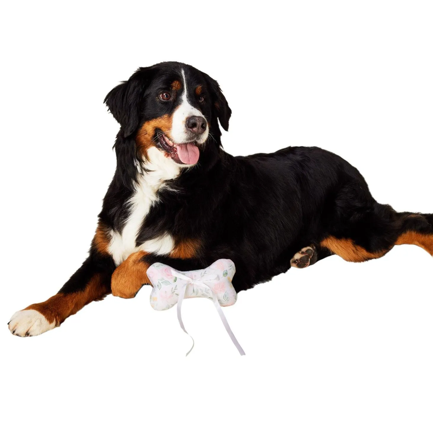 Wedding Ring Bearer Bone Dog Toy