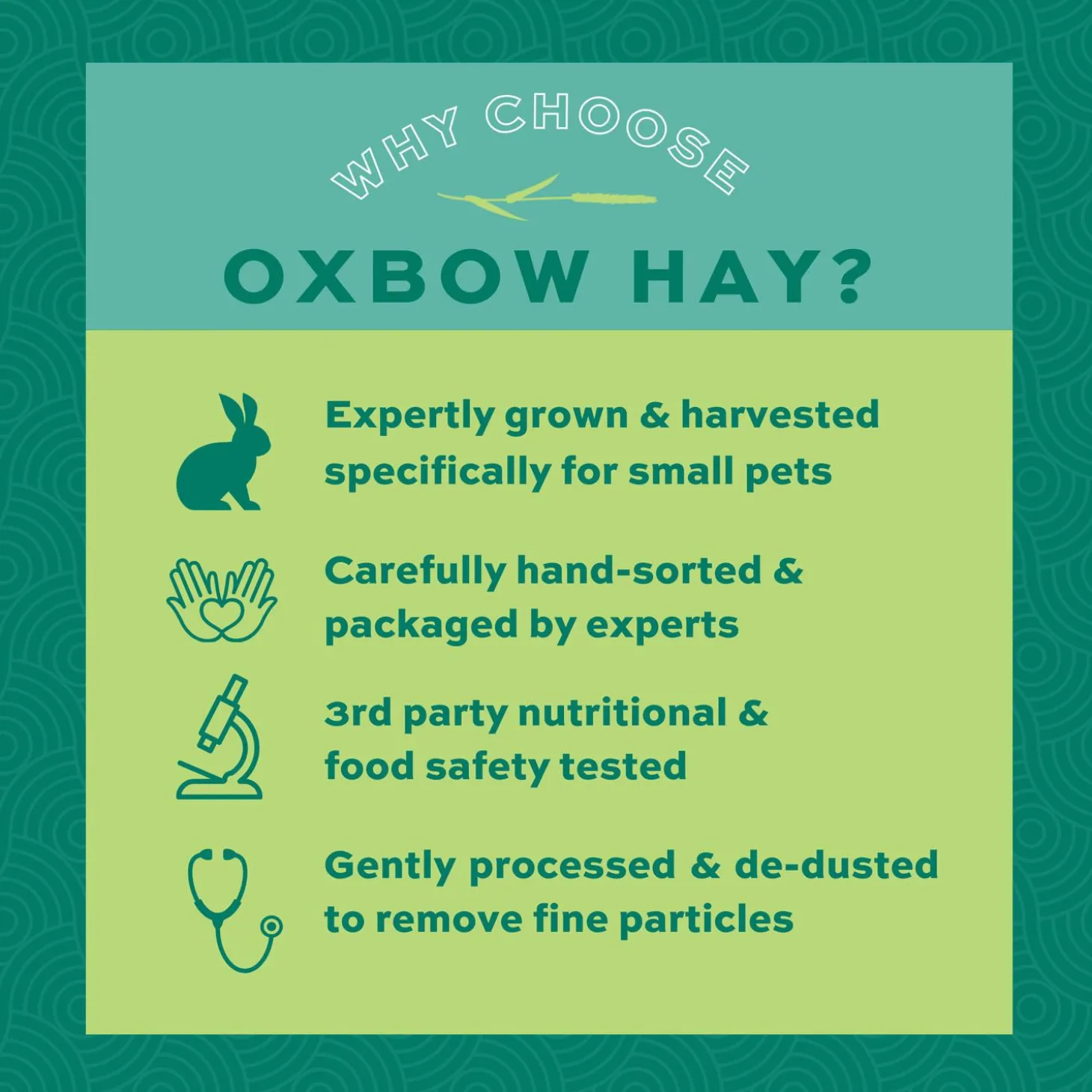 Western Timothy Hay