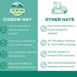 Western Timothy Hay Bulk