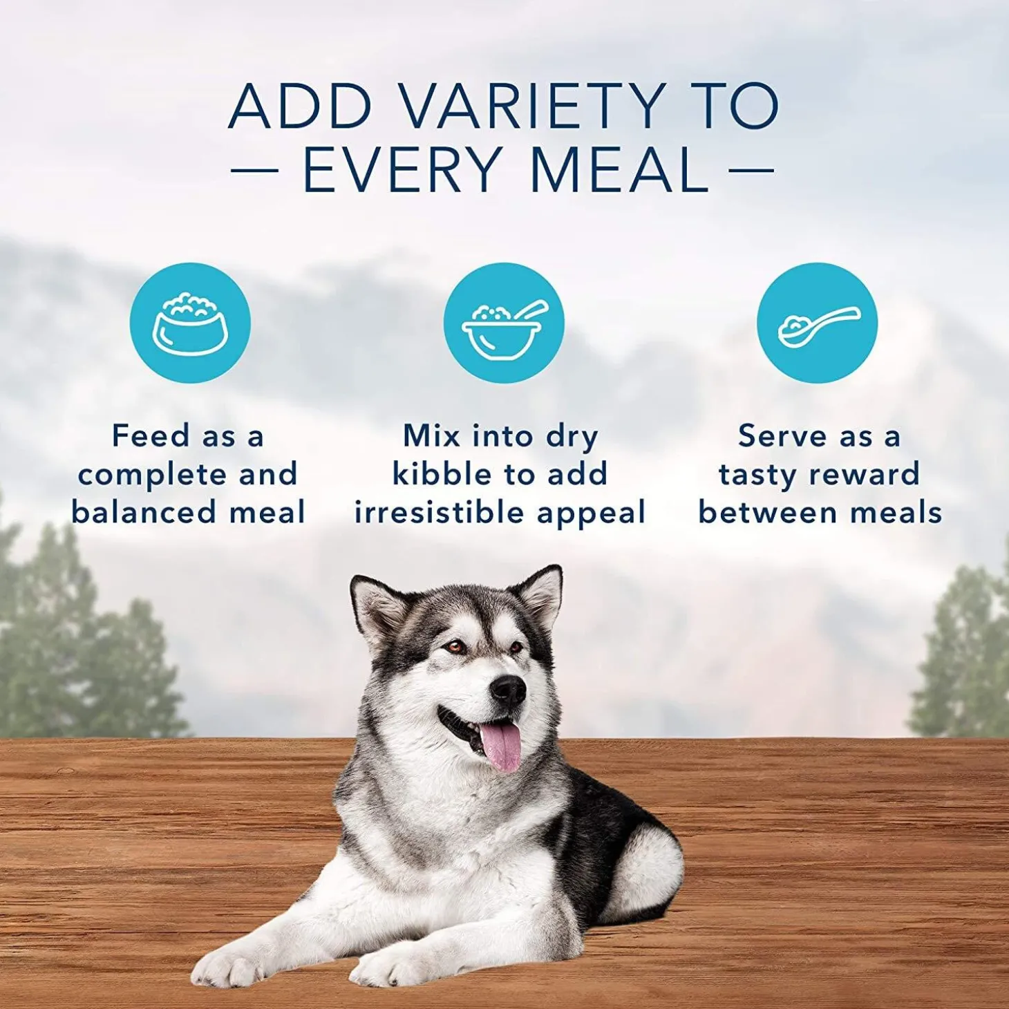 Wilderness Beef & Chicken Grill Recipe Adult Dog Food