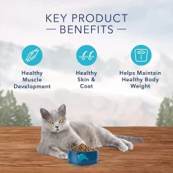 Wilderness Chicken Recipe Indoor Adult Cat Food
