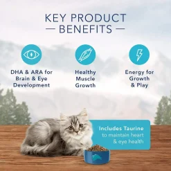 Wilderness Chicken Recipe Kitten Cat Food