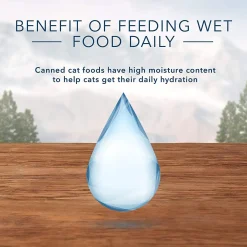 Wilderness Grain Free Duck Recipe Adult Cat Food