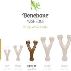 Wishbone & Dental Chew Bacon Flavour Medium Dog Toys
