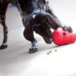 Wobbler Dog Toy