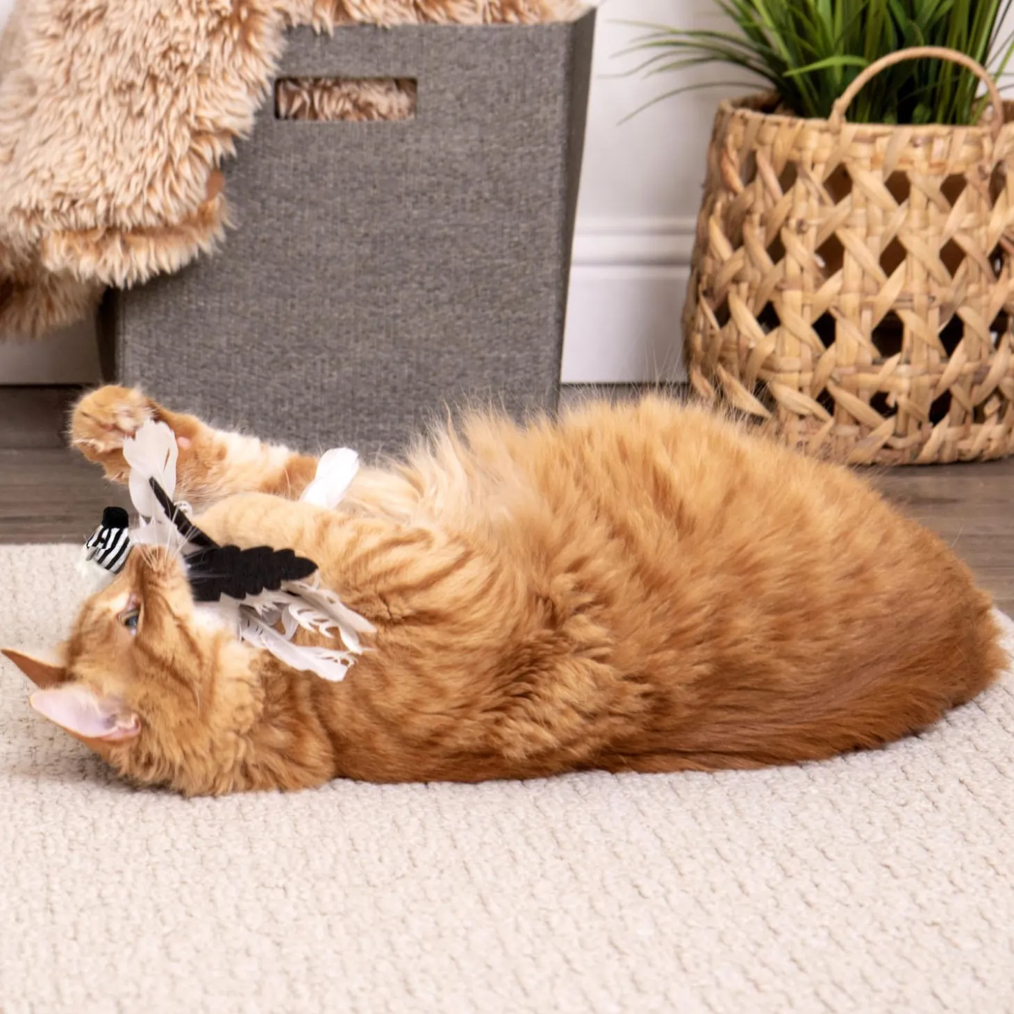 Zingy Zebra Cat Toy