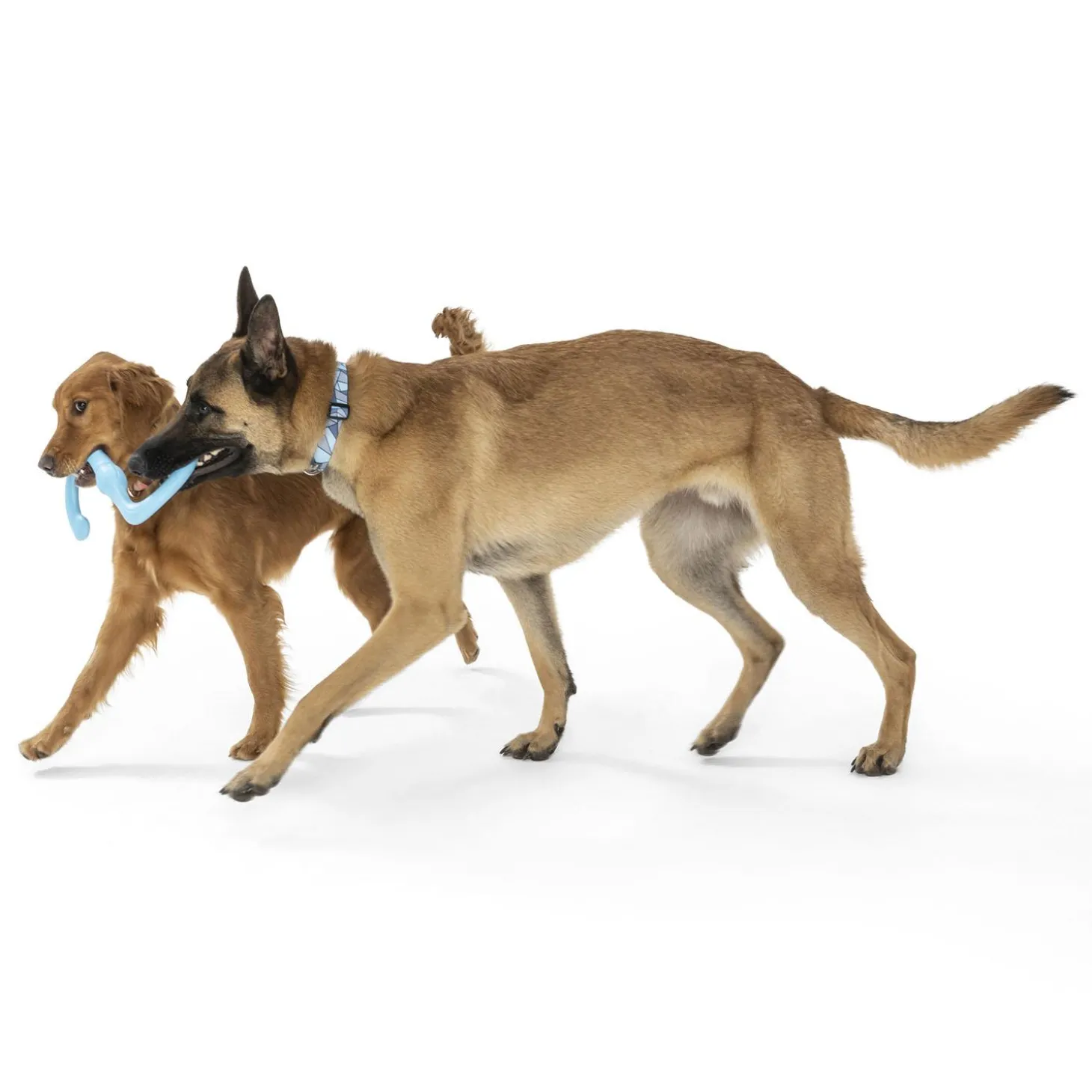 Zogoflex Bumi Assorted Colours Dog Toy